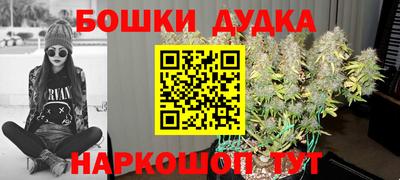 спиды Сланцы
