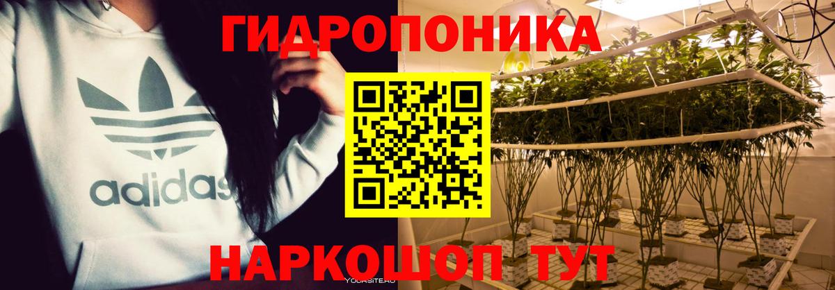 Бошки марихуана индика Чусовой